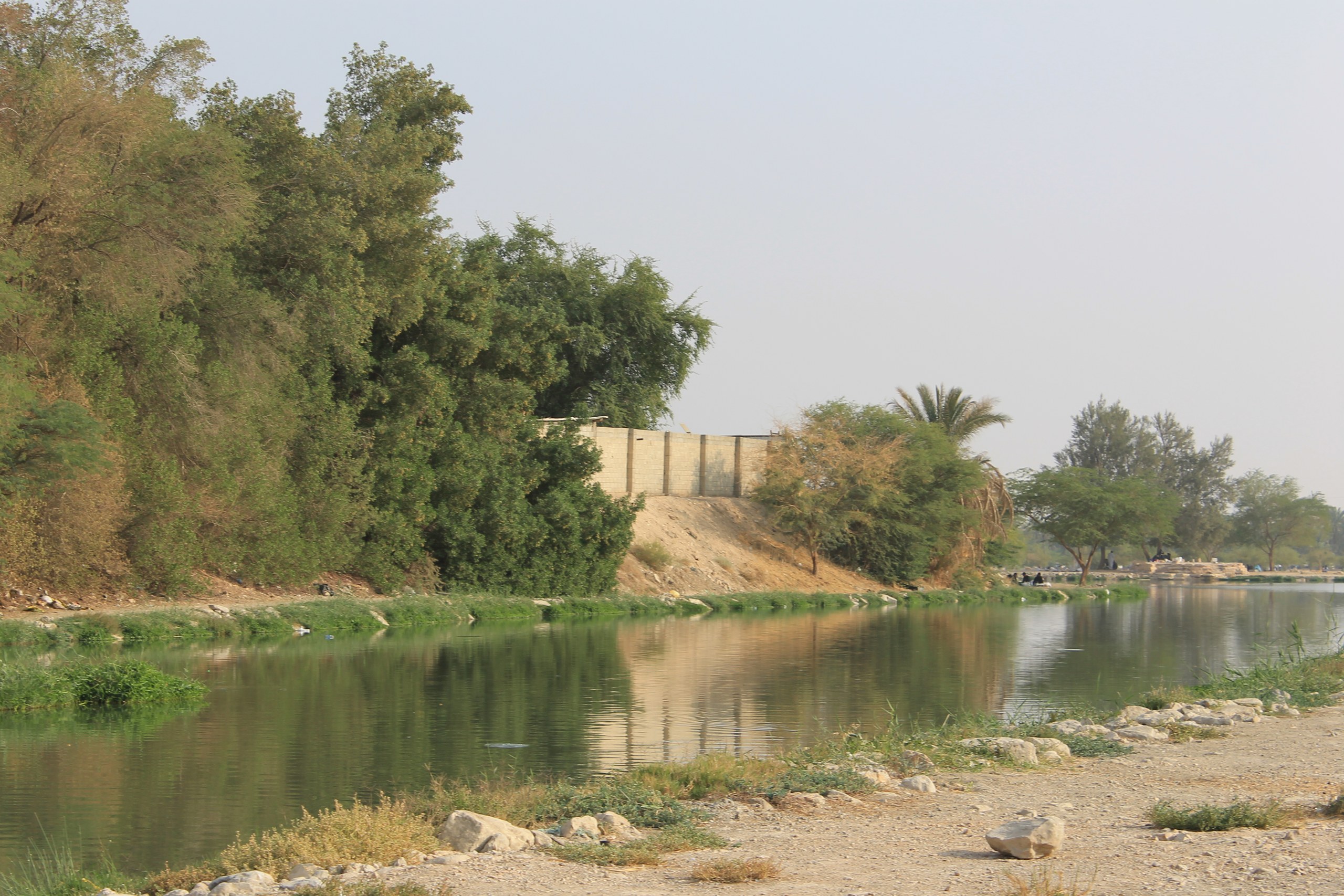 Trees and a lake along Wadi Hanifa in Riyadh